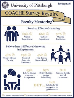 Mentoring Survey Results, Good Practices PDF
