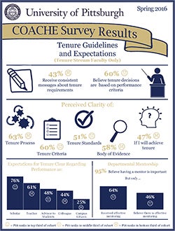 Tenure Guidelines and Expectations Infographic