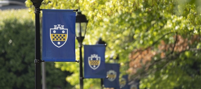 Pitt flags