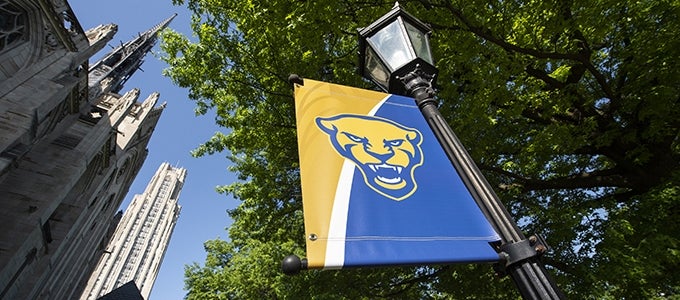 Panther flag on campus lamp post
