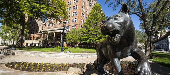panther statue outside William Pitt Union
