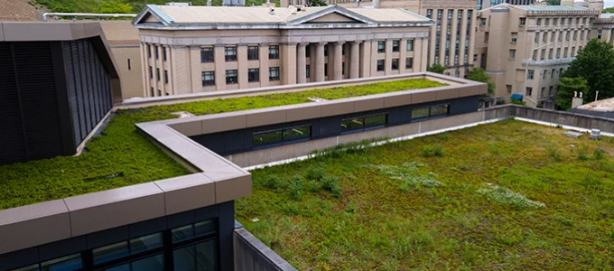 Green roofs on Pitt campus buildings