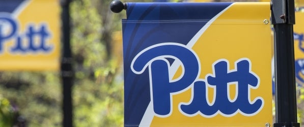 Pitt flags