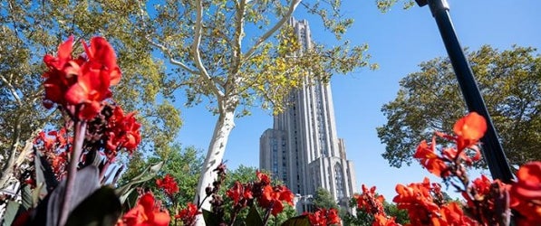 Flowers blooming on campus