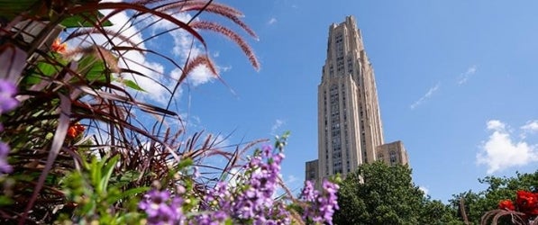 Summer plants in front of the Cathedral of Learning.