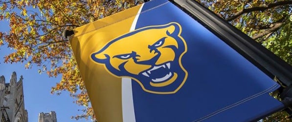 Pitt panther banner