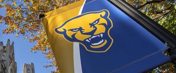 panther banner on lamp post outside Cathedral of Learner