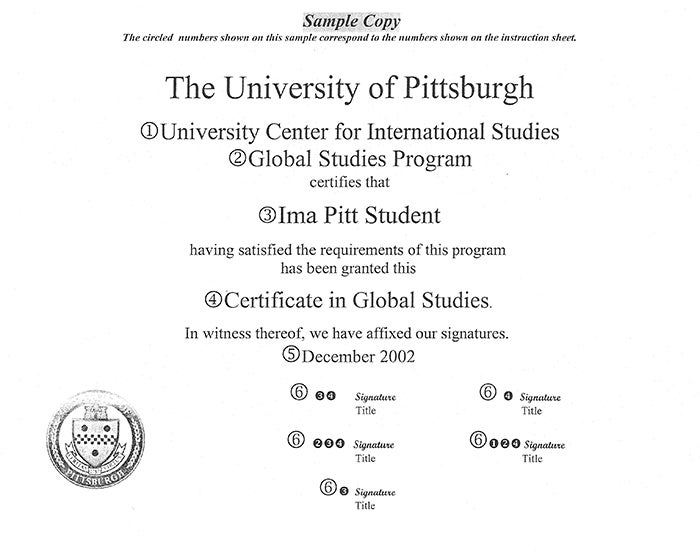 Certificate layout showing where information is entered; also described below.