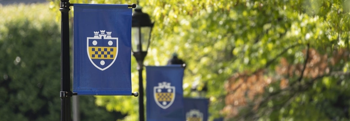 Pitt shield banners hanging on lamposts on Oakland campus