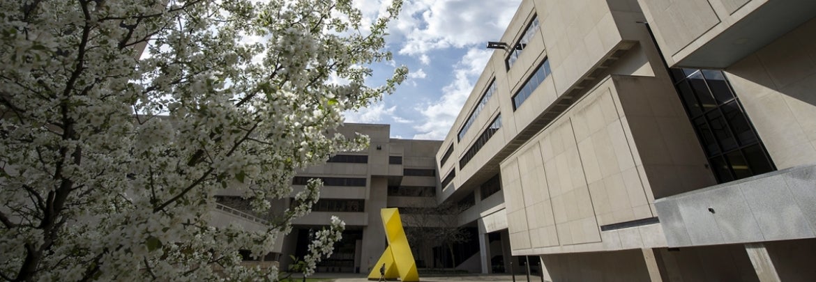 flowering tree and yellow steel sculpture with concrete building