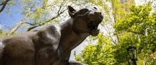 Pitt Panther statue