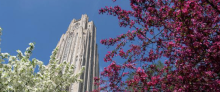 The Cathedral of Learning The Cathedral of Learning