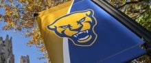 Pitt panther banner