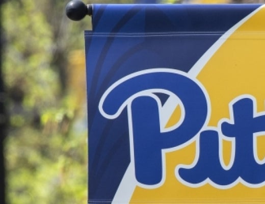 Pitt flags