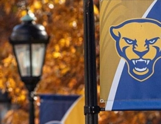 Pitt flag in front of fall leaves