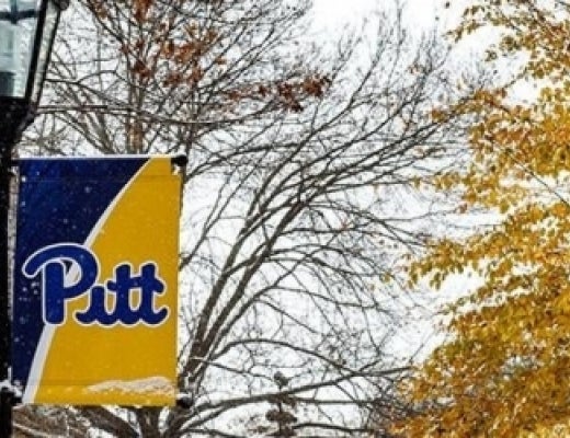 Pitt flag on a lamppost during winter