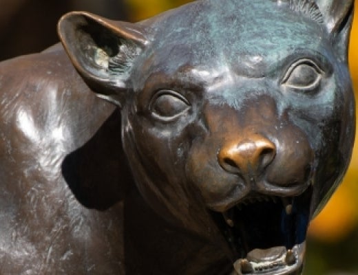 Pitt panther statue