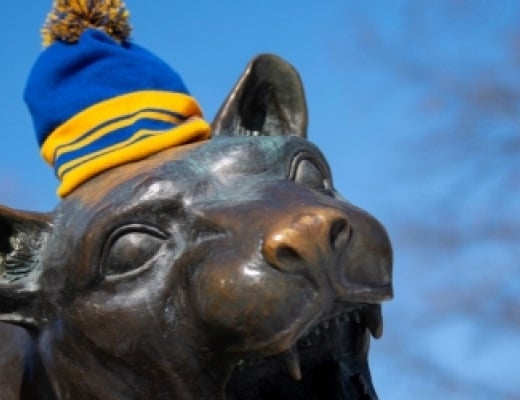 Panther statue wearing a beanie