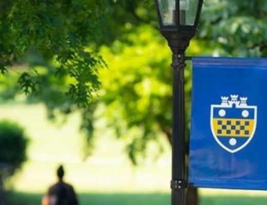 Pitt shield on a flag