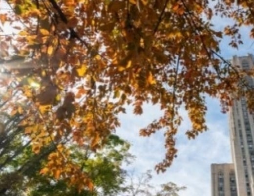 Cathedral of Learning