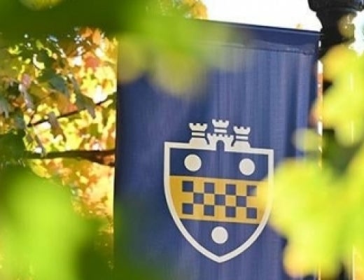 Pitt flag on a lampost