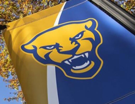 Pitt panther banner