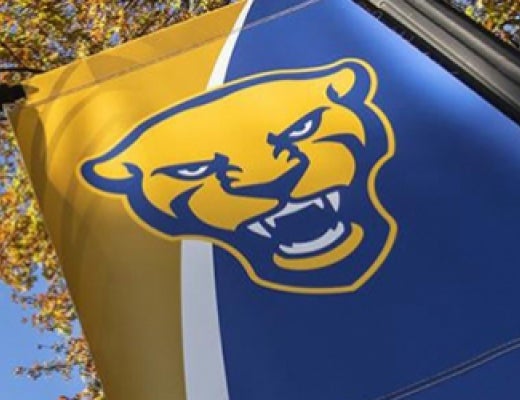 Pitt panther banner