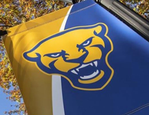 Pitt panther banner