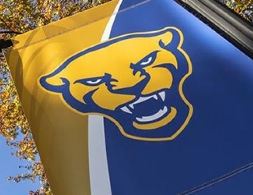 Pitt panther banner on light post