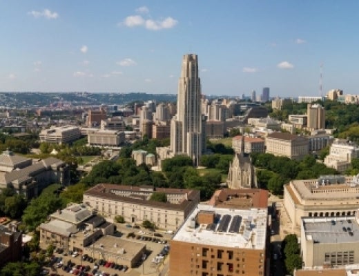 Bird's eye view of campus